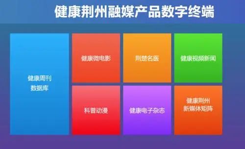 荊州日報榮獲全國信息消費應用創新獎 數字文化創意內容應用服務的先鋒探索